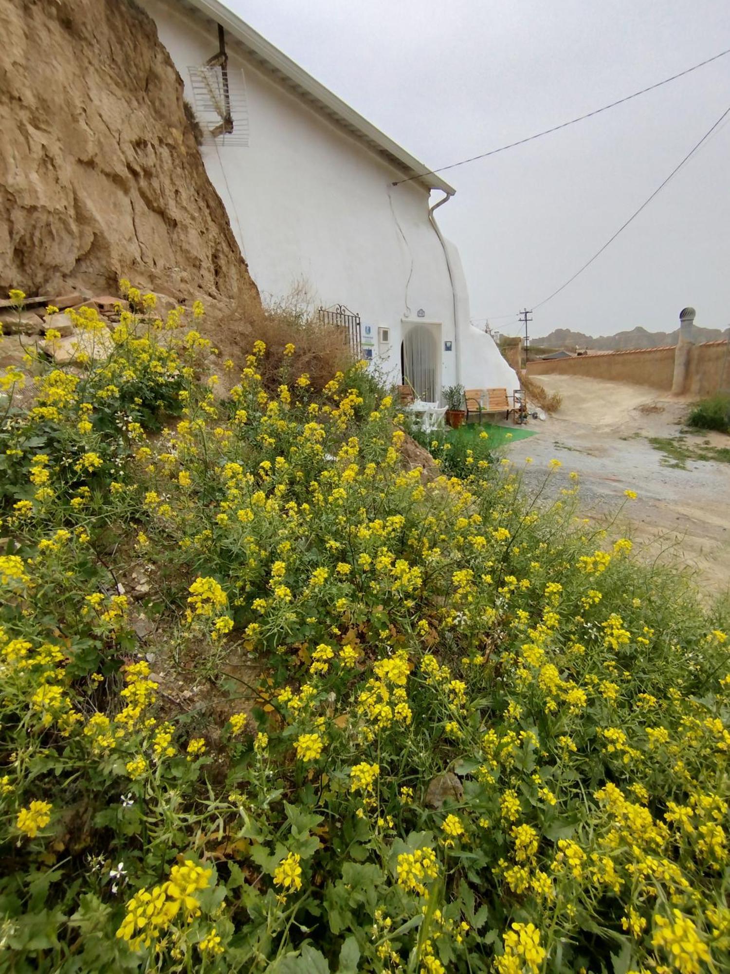 Cueva La Loli Villa Guadix Luaran gambar